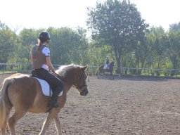 img_0251_web